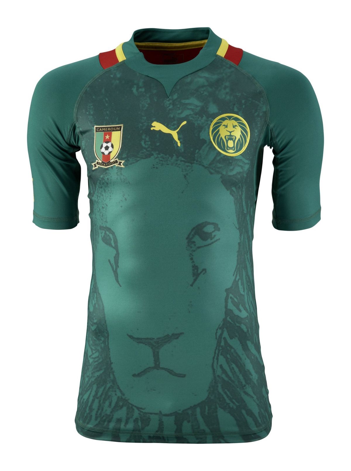 Maillot Domicile Cameroun 2012