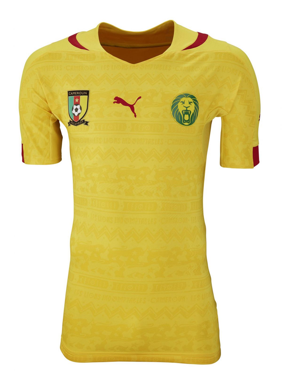 Maillot Exterieur Cameroun 2014