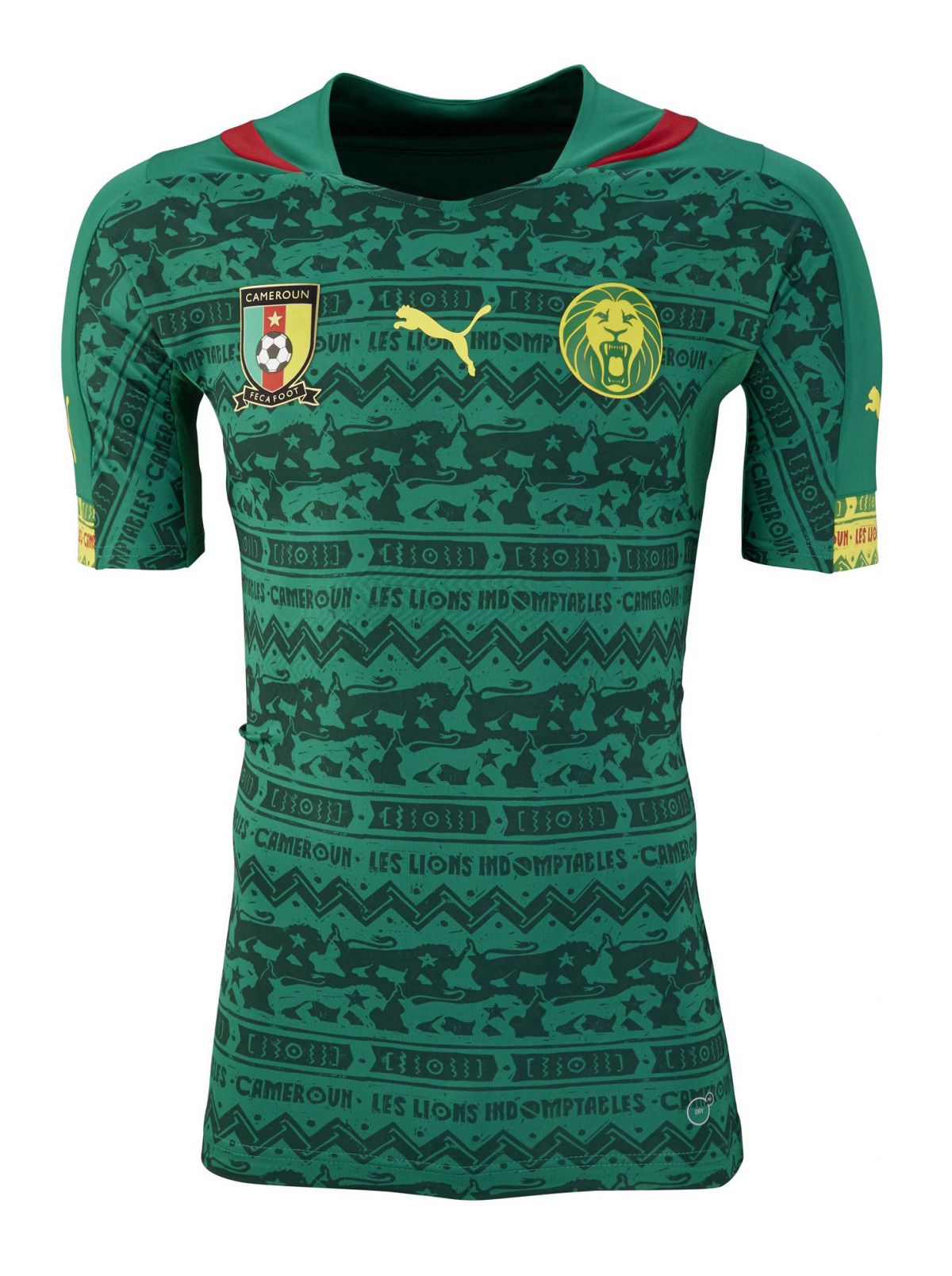 Maillot Domicile Cameroun 2014