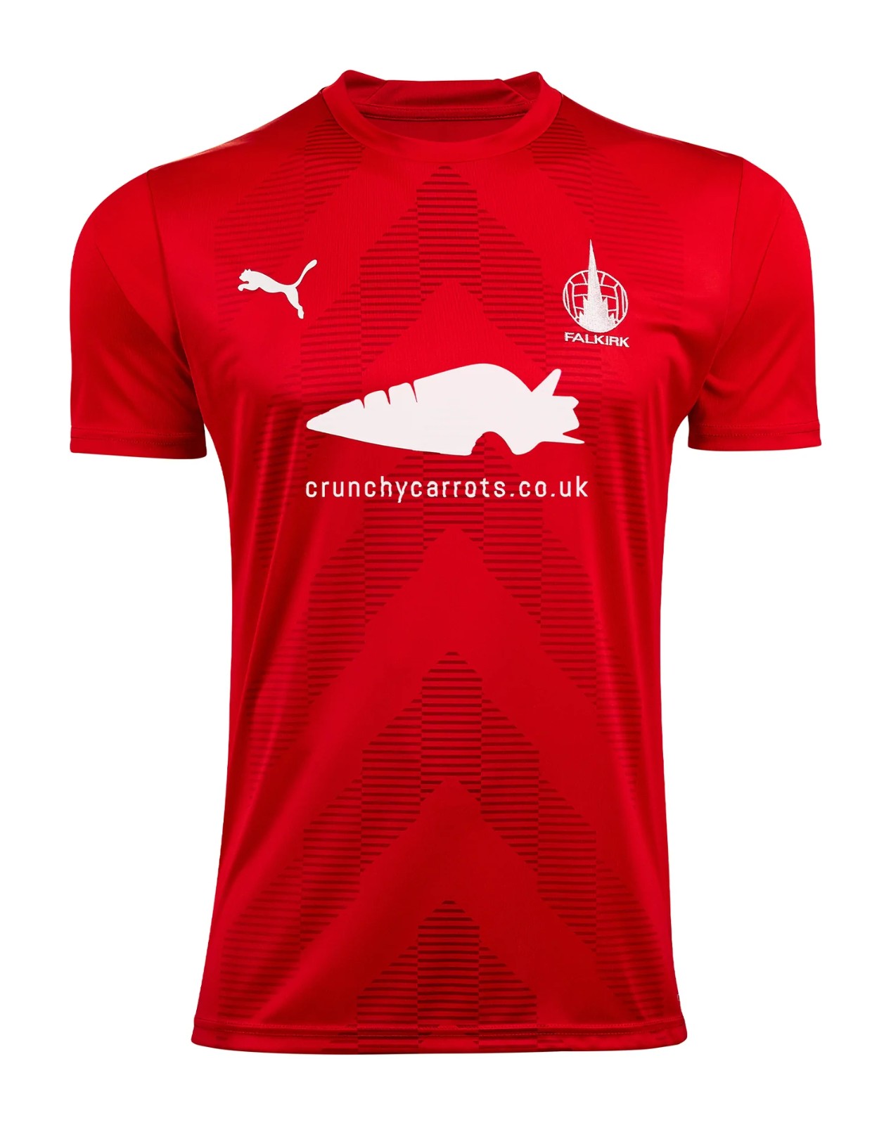 Maillot Exterieur Falkirk 2022-23