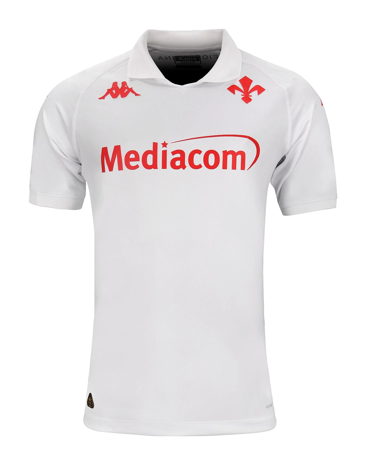 Maillot Exterieur Fiorentina 2024-25